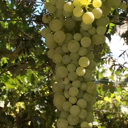 Casa Mare Riccio * Tollo