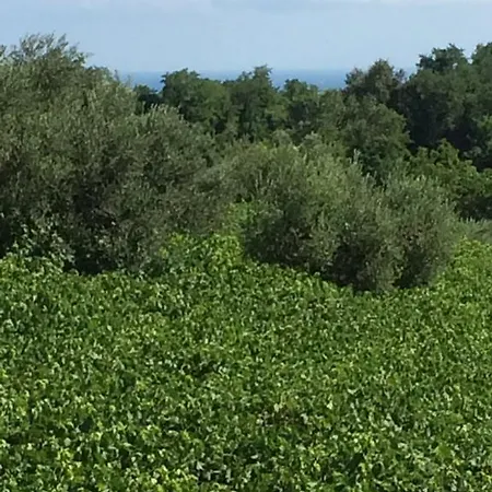 Дом отдыха Casa Mare Riccio *