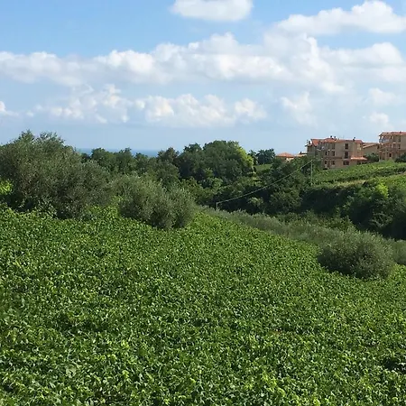 Casa Mare Riccio Holiday home