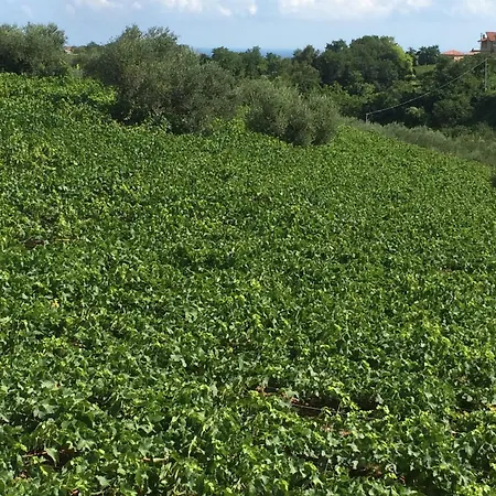 Дом отдыха Casa Mare Riccio *