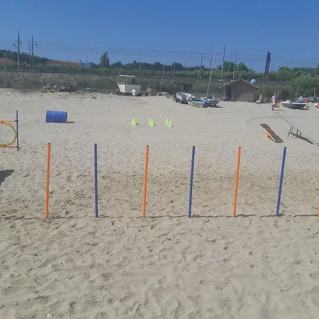 Casa Mare Riccio Дом отдыха Tollo