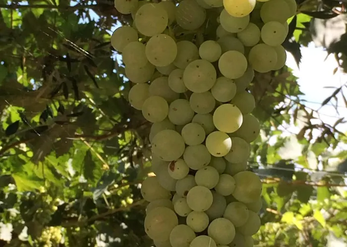 Casa Mare Riccio * Tollo