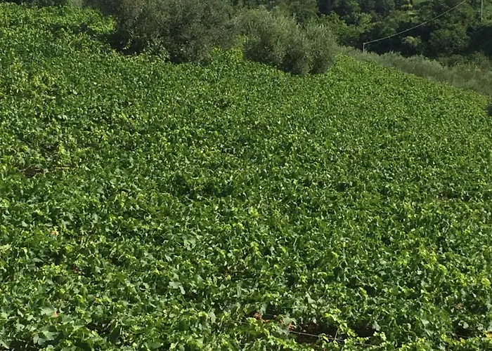 Dom wakacyjny Casa Mare Riccio *