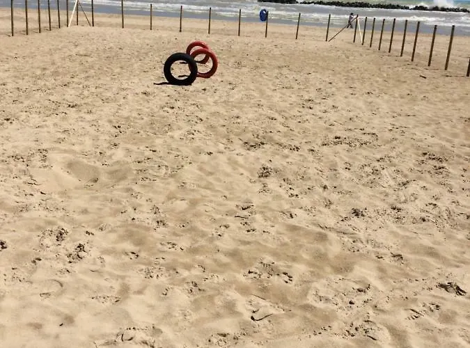 펜션 Casa Mare Riccio Tollo